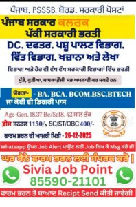 WhatsApp Image 2025 12 13 at 21.14.23