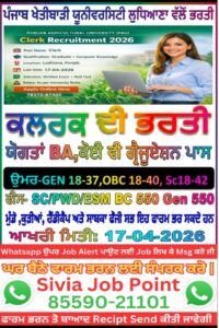 WhatsApp Image 2026 03 28 at 7.15.43 PM